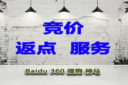案例解析：SEM托管助力电商销售增长